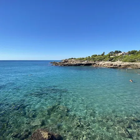 Mila * L'Ametlla de Mar